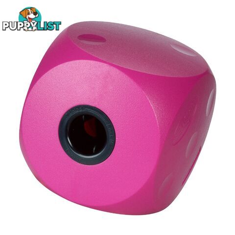 Buster Food Cube Large / Cherry - BUST-F-C1