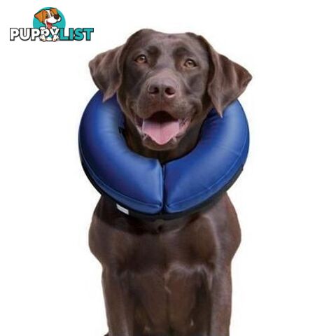 Buster Inflatable Collar Medium - COLLIBN02