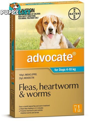 Advocate for Dogs 4kg - 10kg (Aqua) - 1 Pack - 2205851