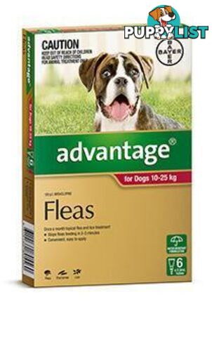 Advantage for Dogs 10kg - 25kg (Red) - 6 Pack - 1890252