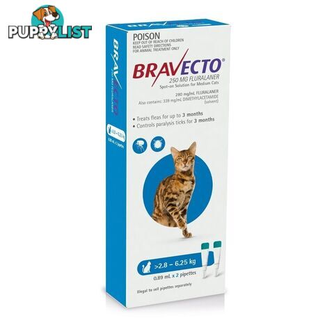 Bravecto Spot-On for Cats - 3 Month Protection - 2.8 to 6.25kg - 2415947