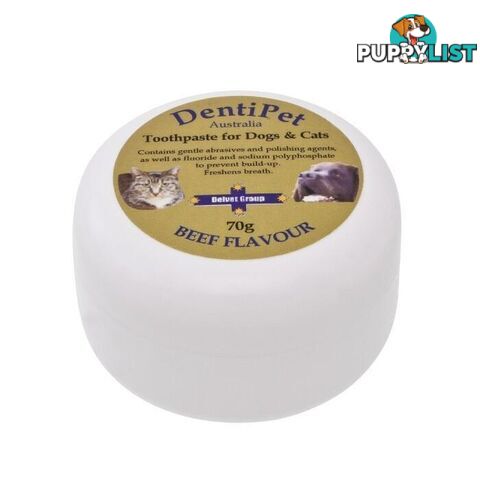 Dentipet Toothpaste for Dogs & Cats 70g - Beef - 1945812