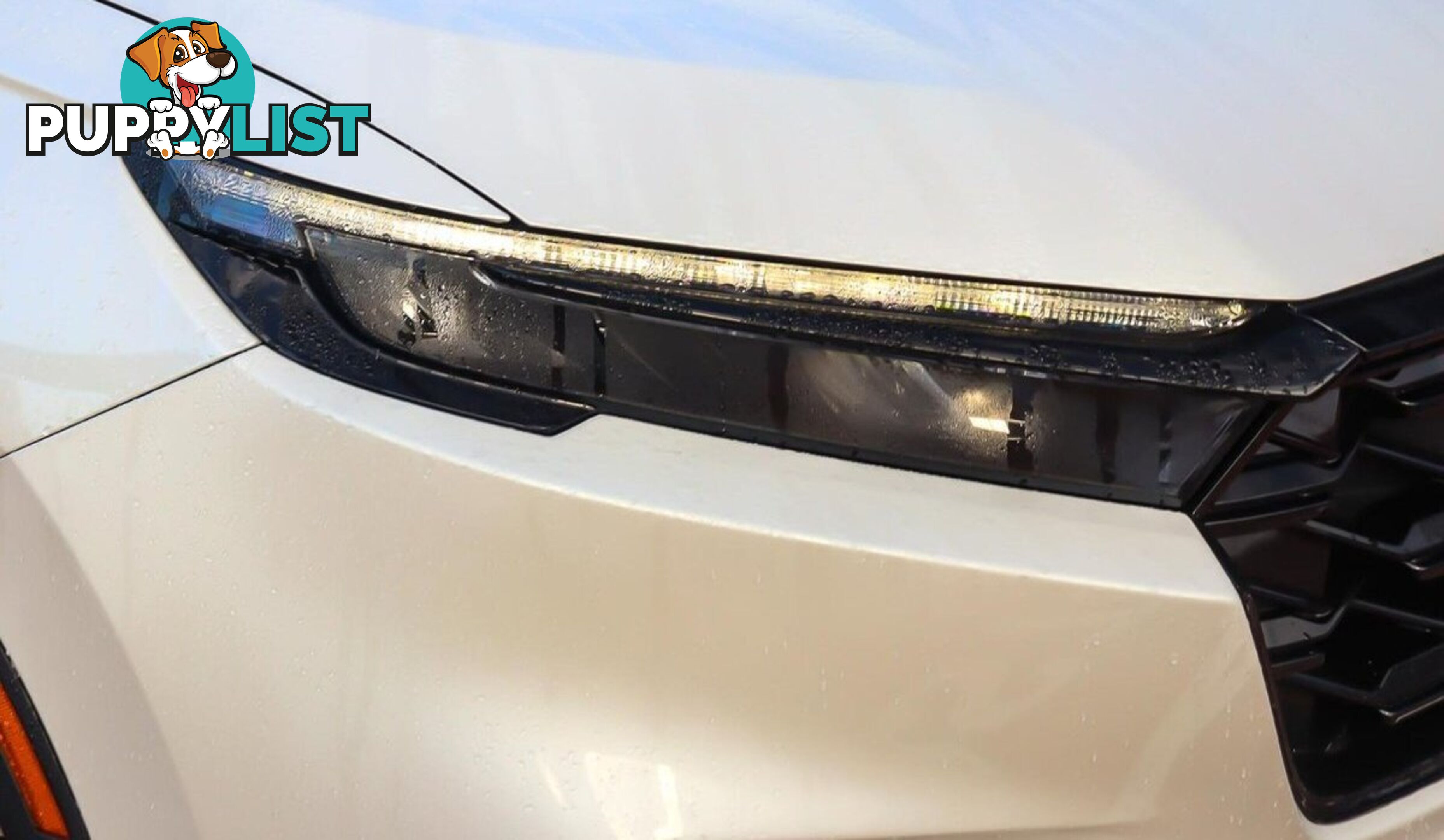 2024 HONDA CR-V VTI-LX RS-MY24-AWD SUV