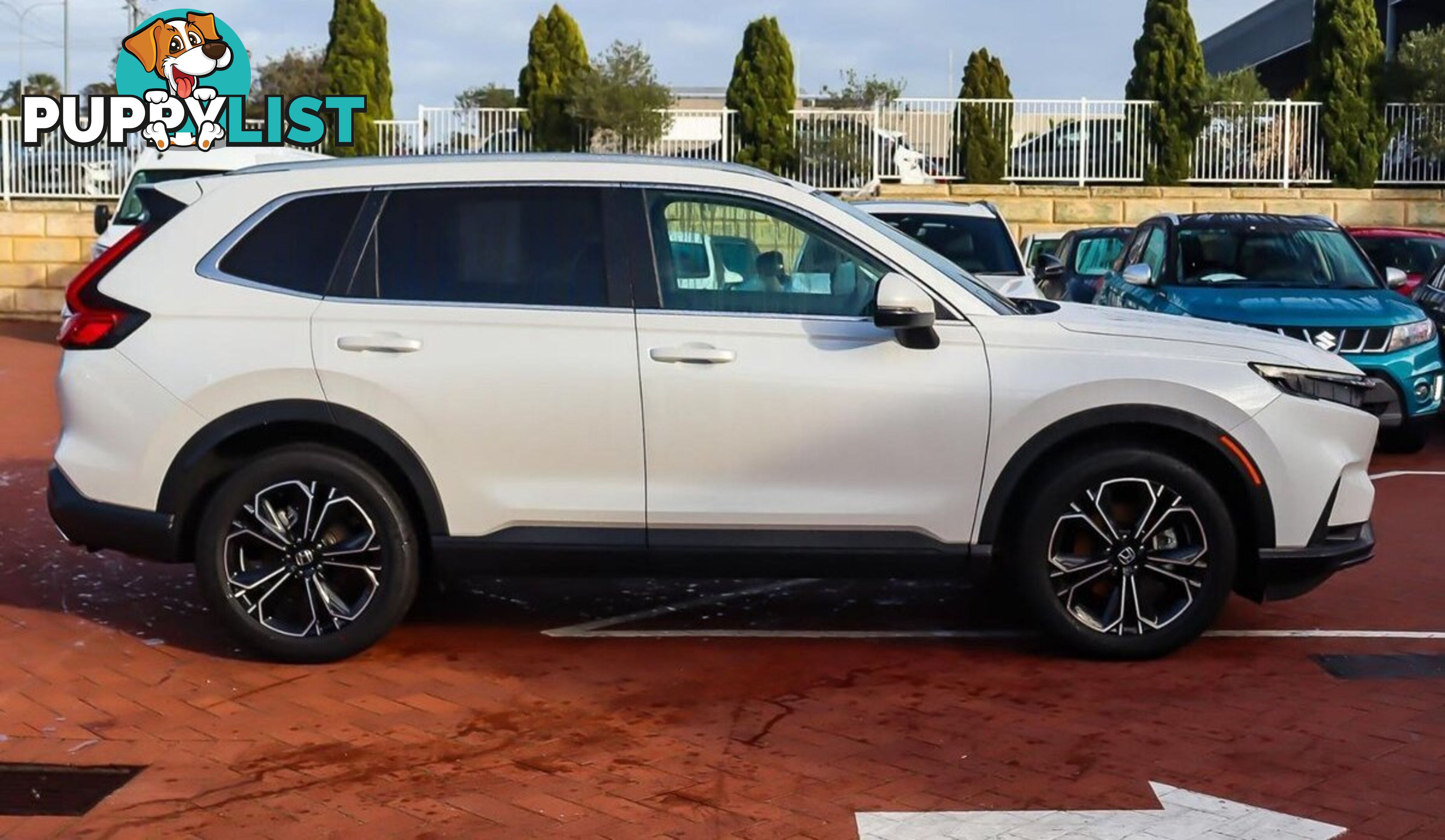 2024 HONDA CR-V VTI-LX RS-MY24-AWD SUV
