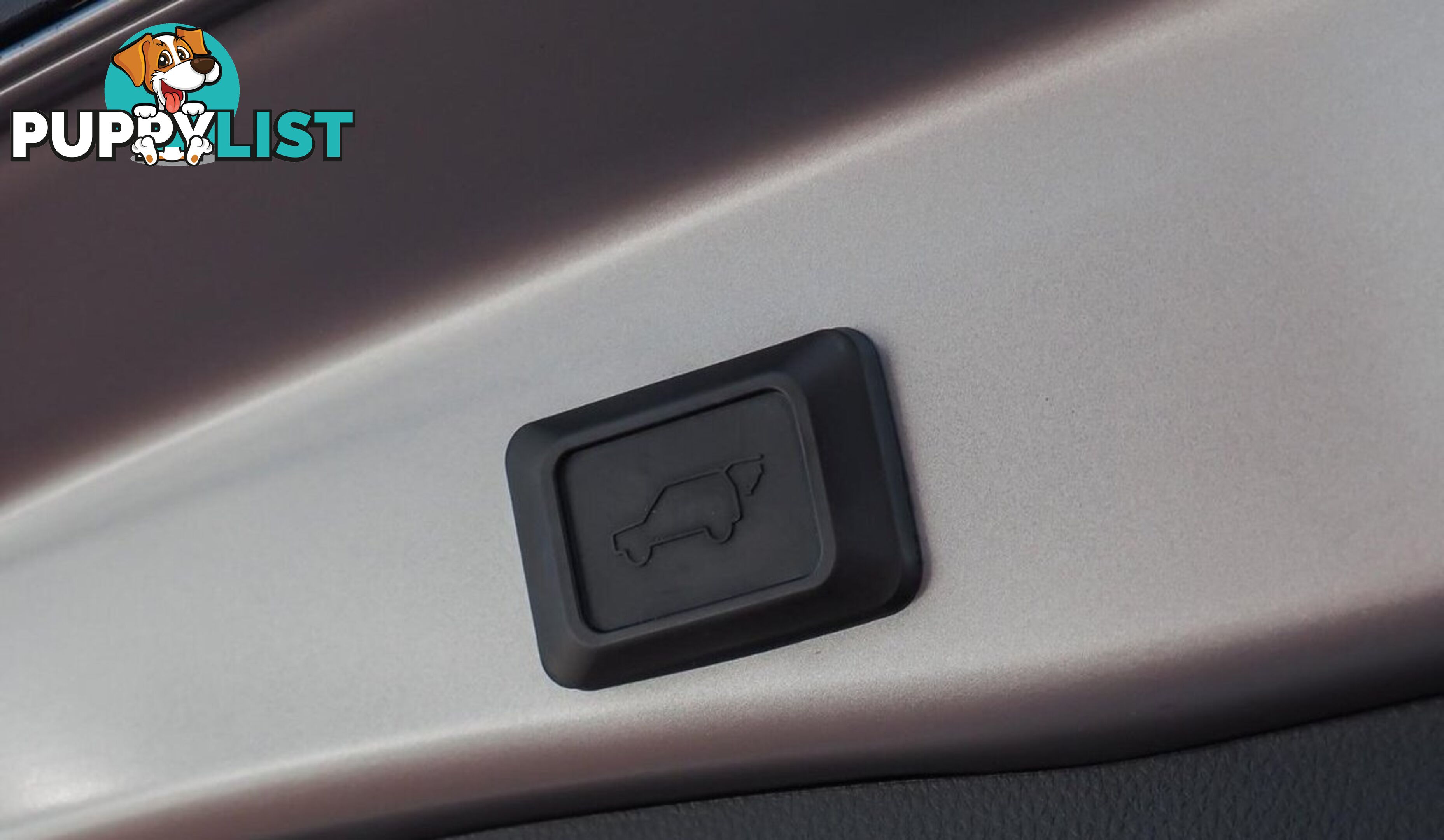 2019 TOYOTA RAV4 CRUISER AXAH54R-4X4-ON-DEMAND SUV