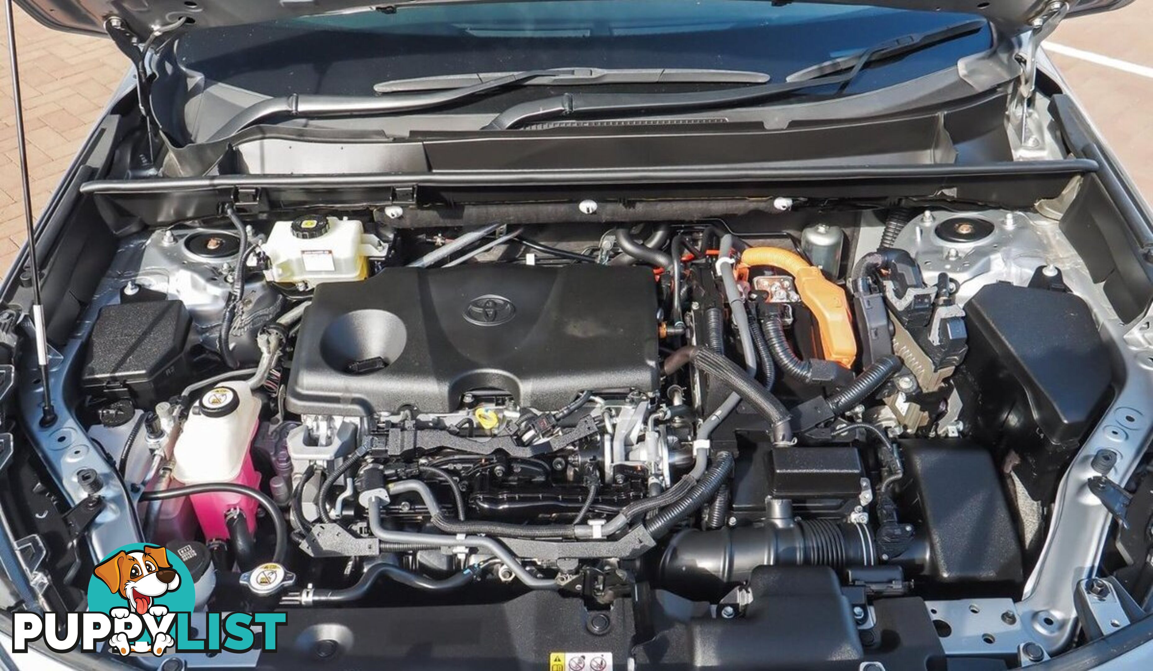 2019 TOYOTA RAV4 CRUISER AXAH54R-4X4-ON-DEMAND SUV