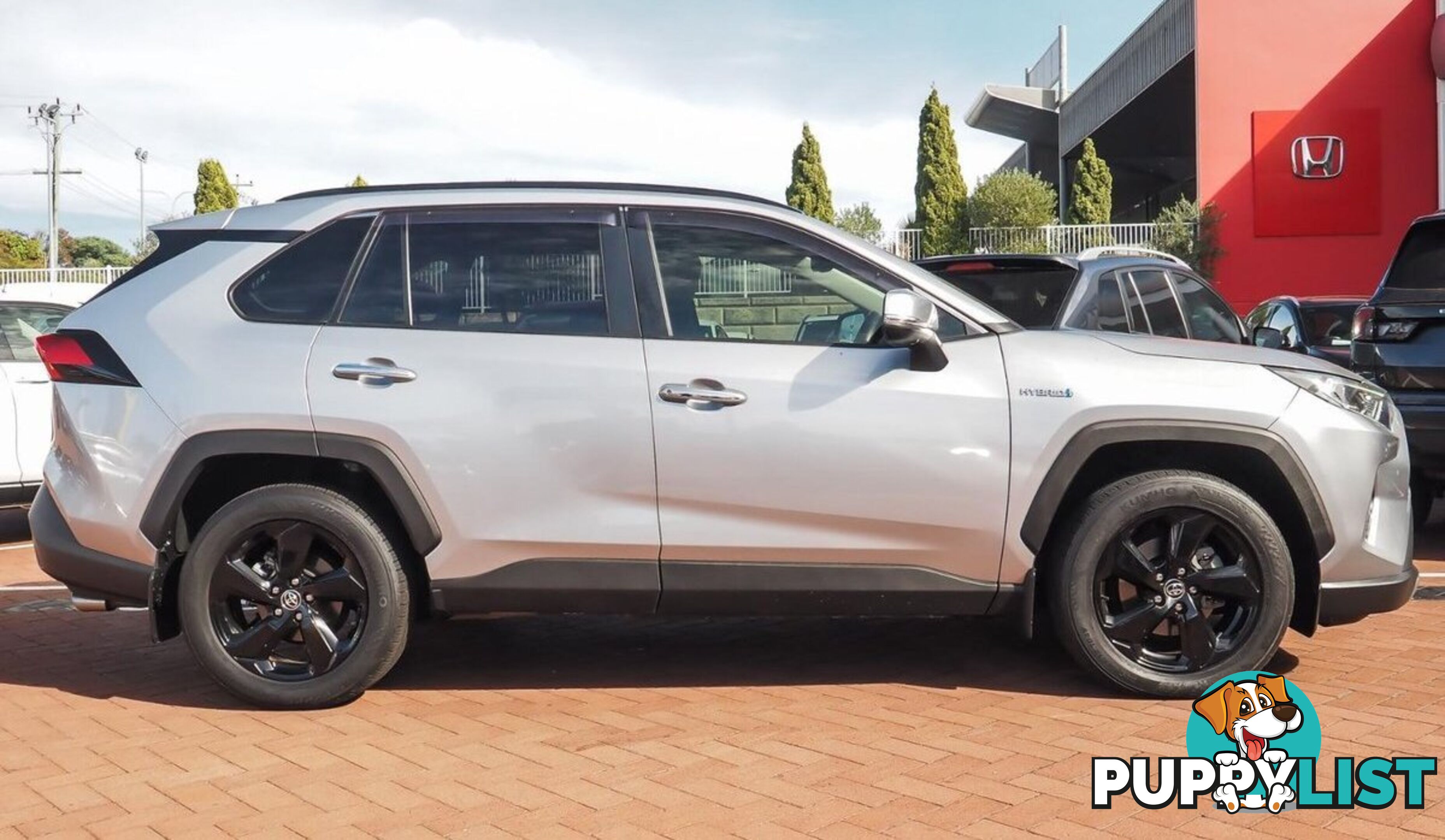 2019 TOYOTA RAV4 CRUISER AXAH54R-4X4-ON-DEMAND SUV