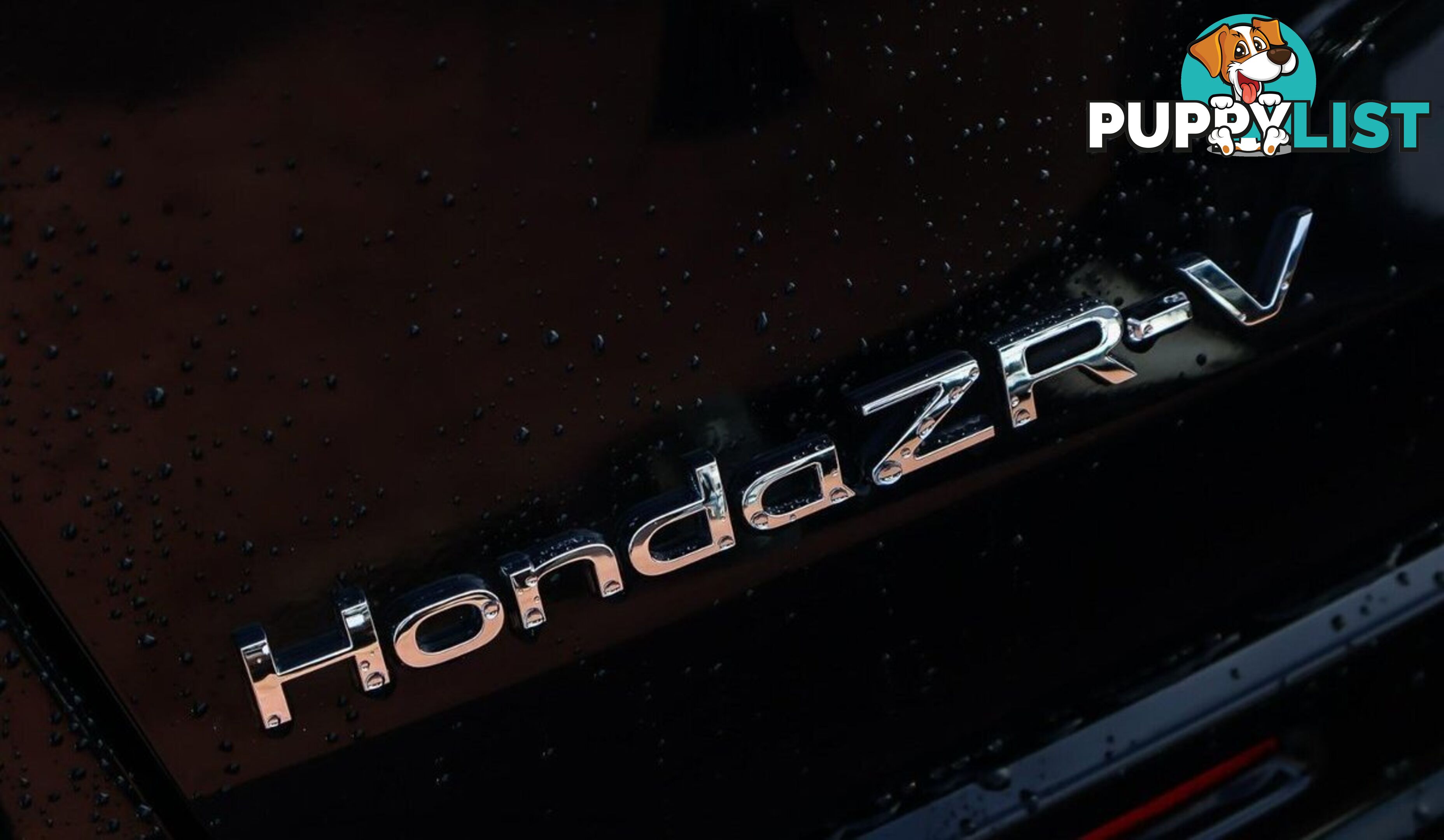 2024 HONDA ZR-V VTI-LX RZ-MY24 SUV