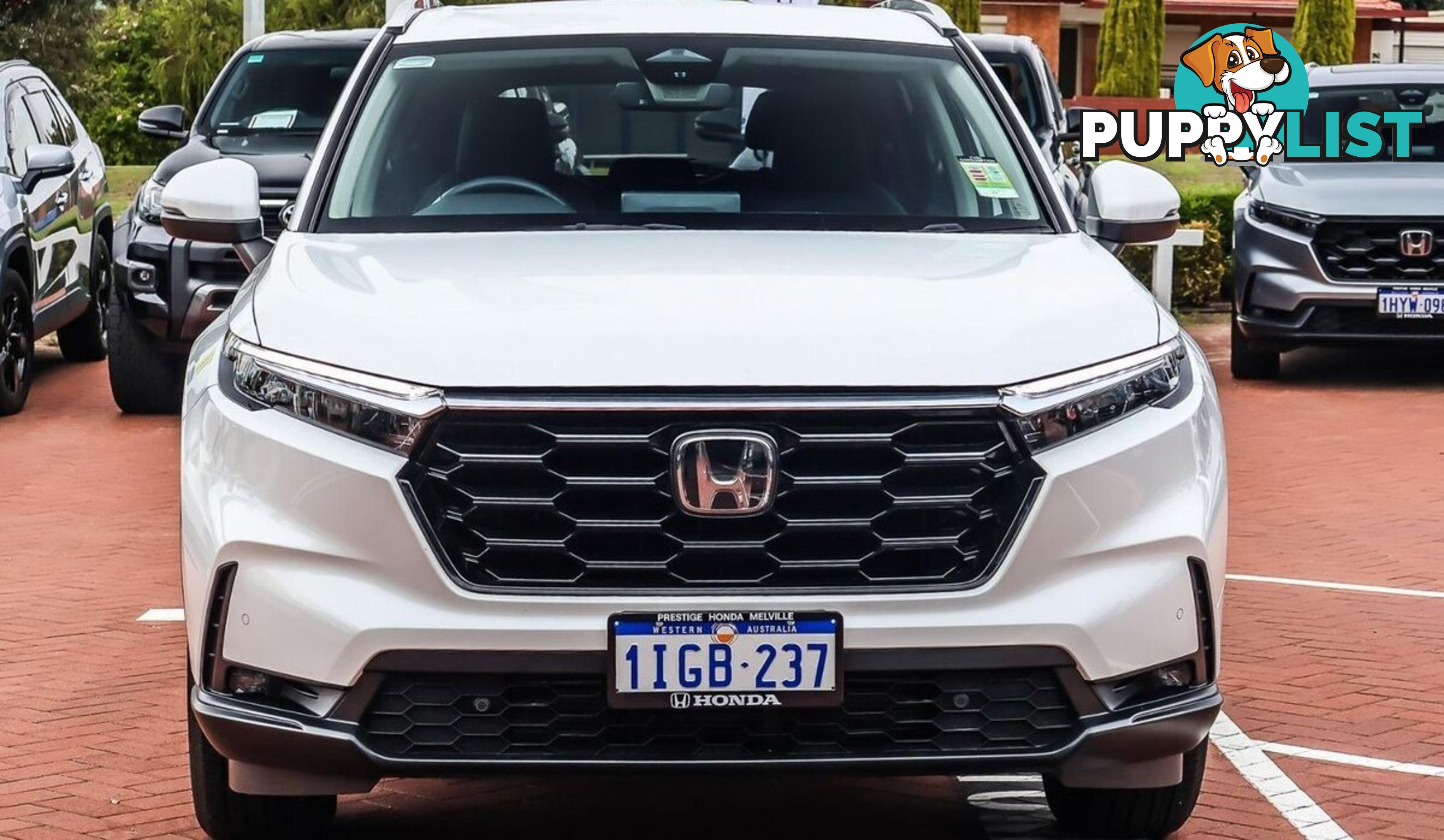 2023 HONDA CR-V VTI-L RS-MY24-AWD SUV