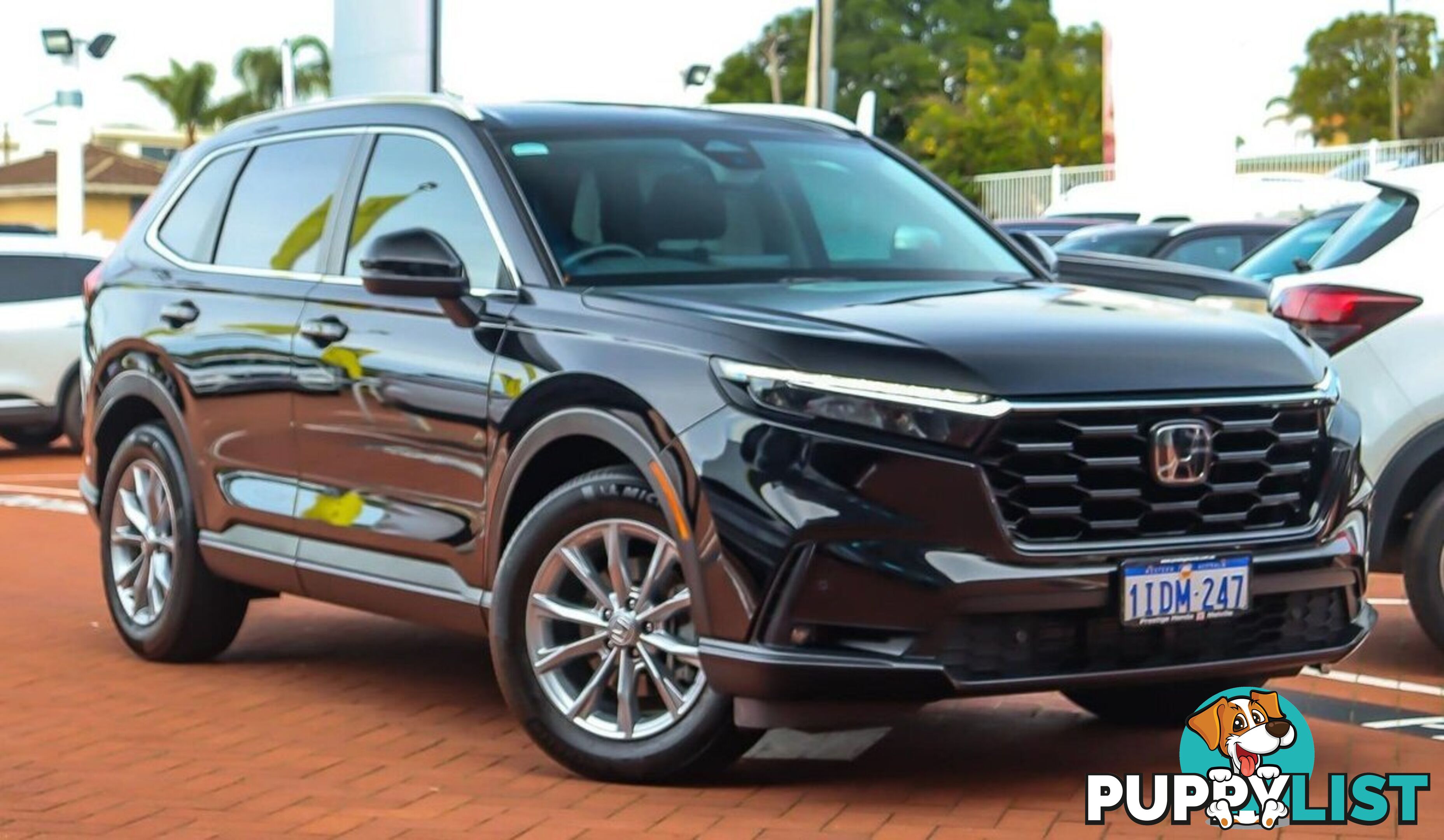 2024 HONDA CR-V VTI-L RS-MY24-AWD SUV