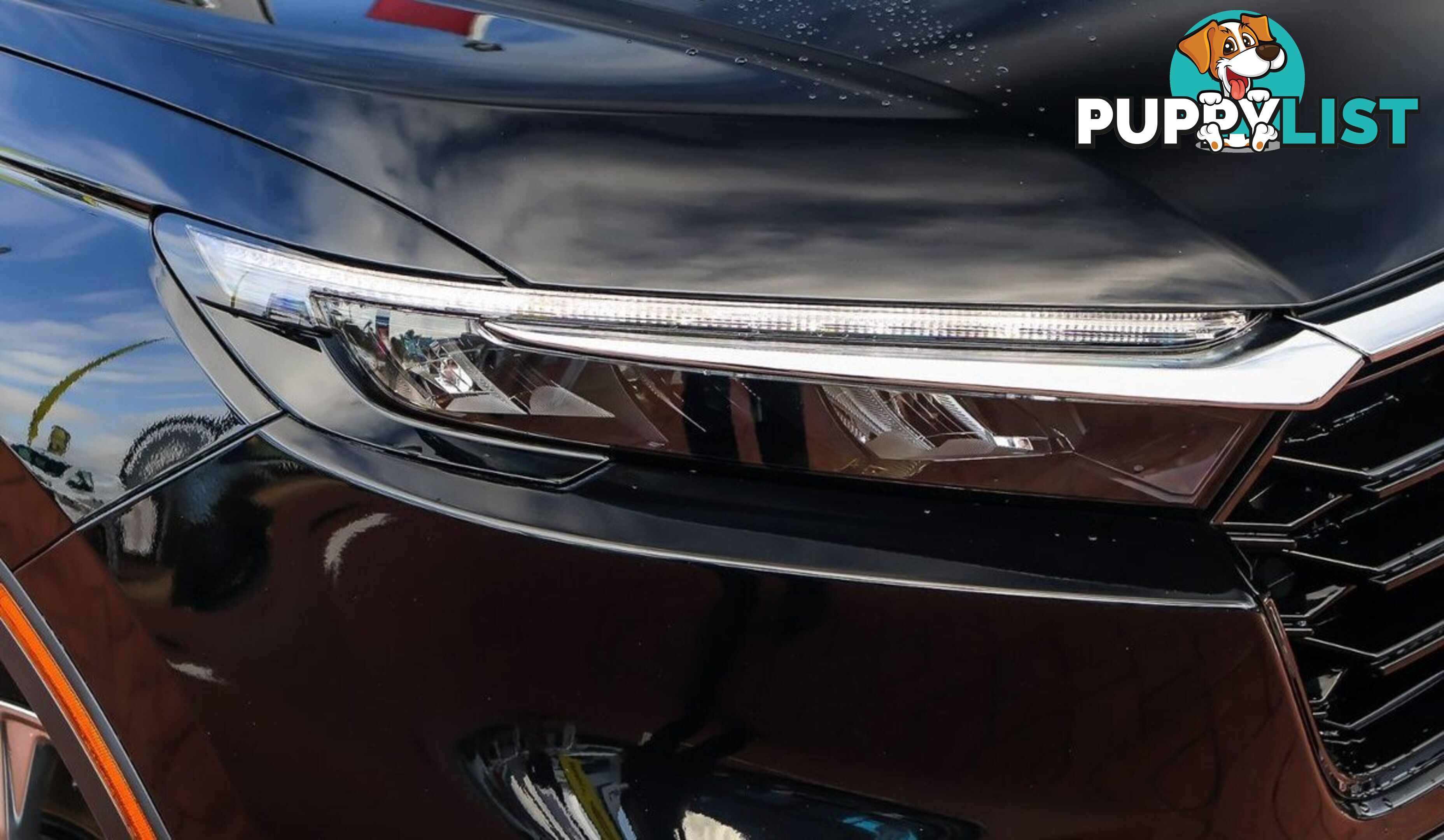 2024 HONDA CR-V VTI-L RS-MY24-AWD SUV