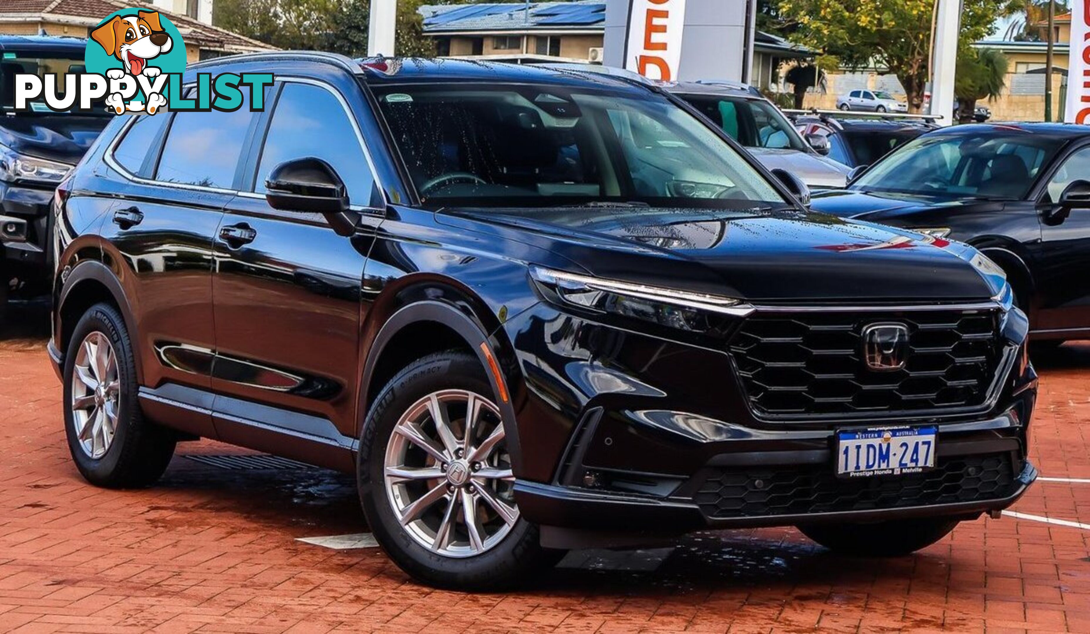 2024 HONDA CR-V VTI-L RS-MY24-AWD SUV