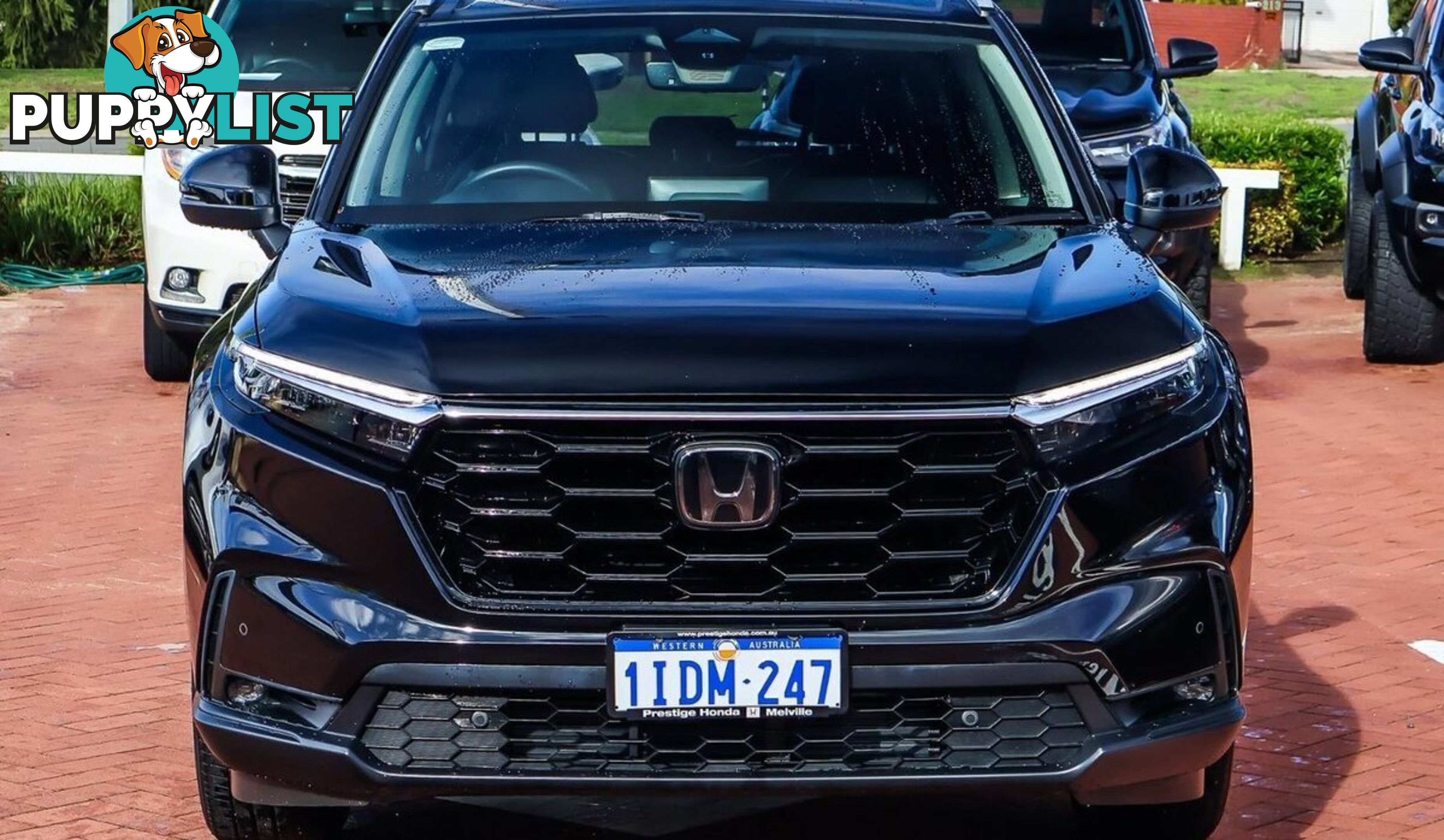 2024 HONDA CR-V VTI-L RS-MY24-AWD SUV