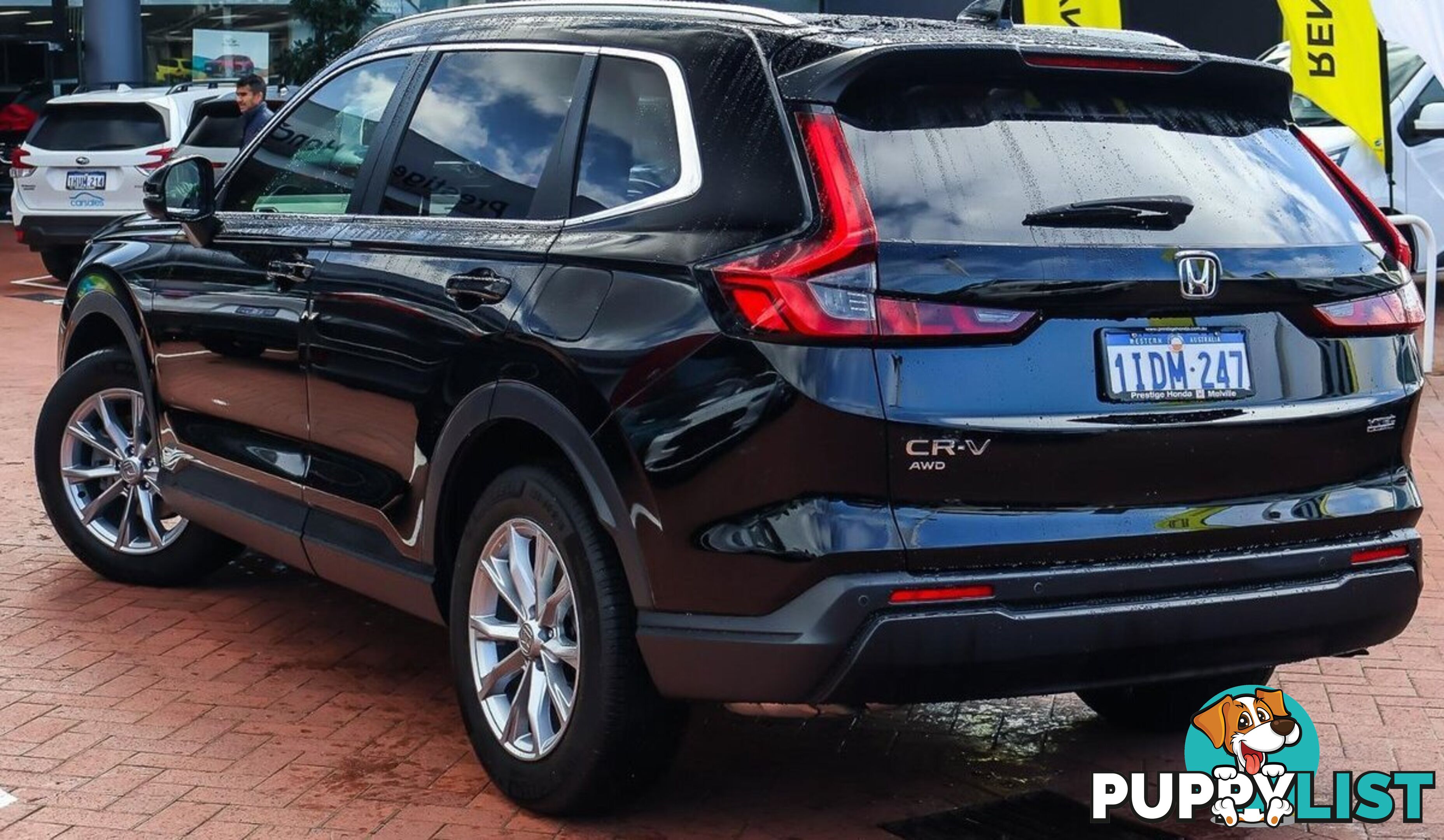 2024 HONDA CR-V VTI-L RS-MY24-AWD SUV