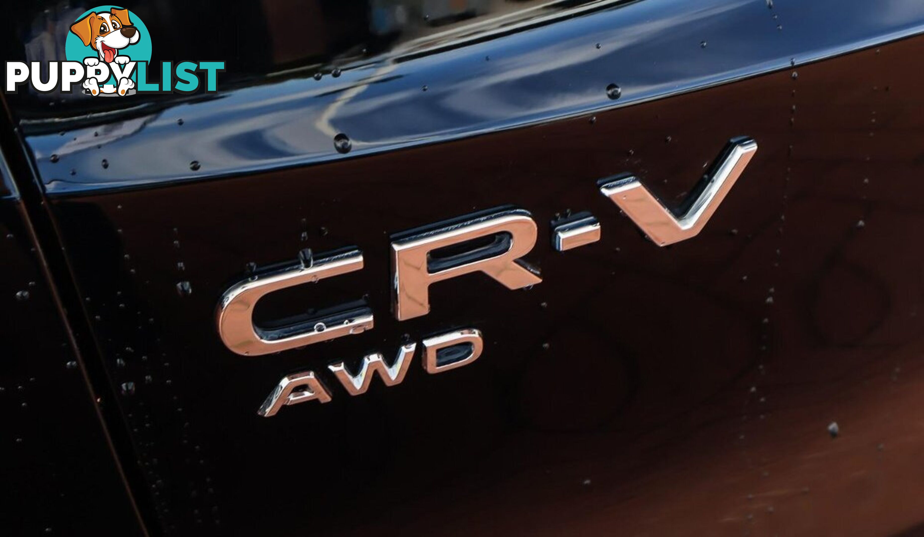 2024 HONDA CR-V VTI-L RS-MY24-AWD SUV