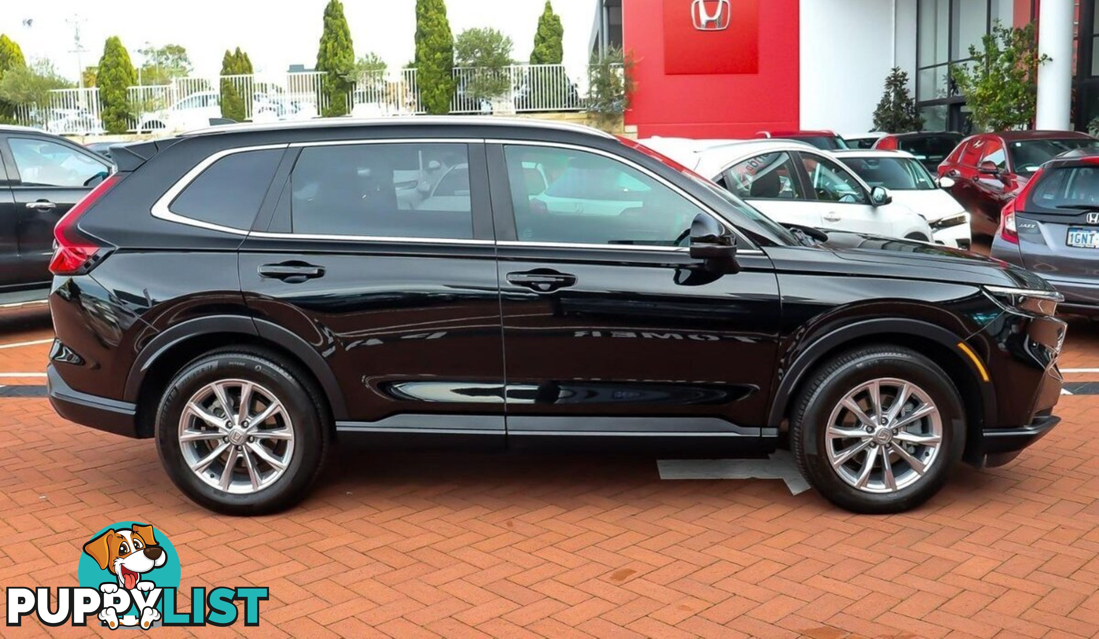 2024 HONDA CR-V VTI-L RS-MY24-AWD SUV