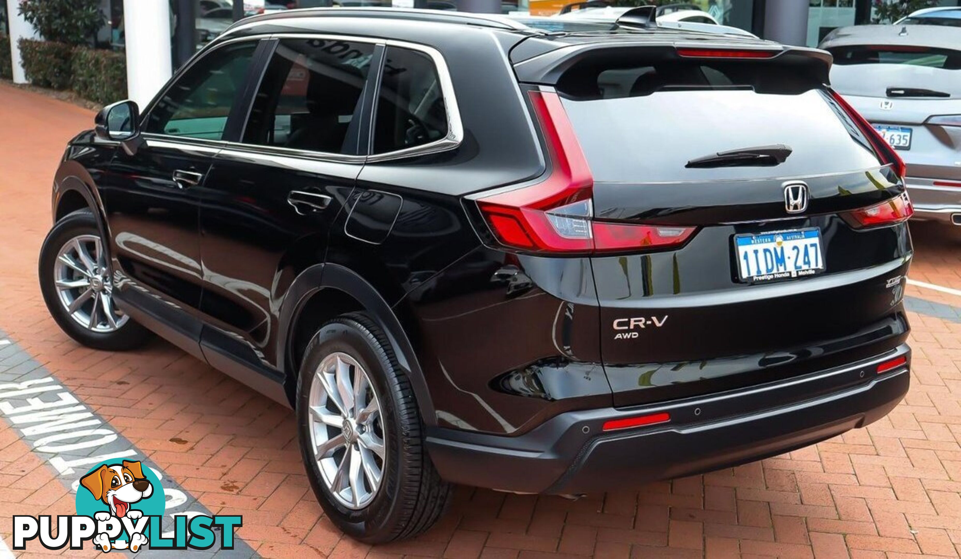 2024 HONDA CR-V VTI-L RS-MY24-AWD SUV