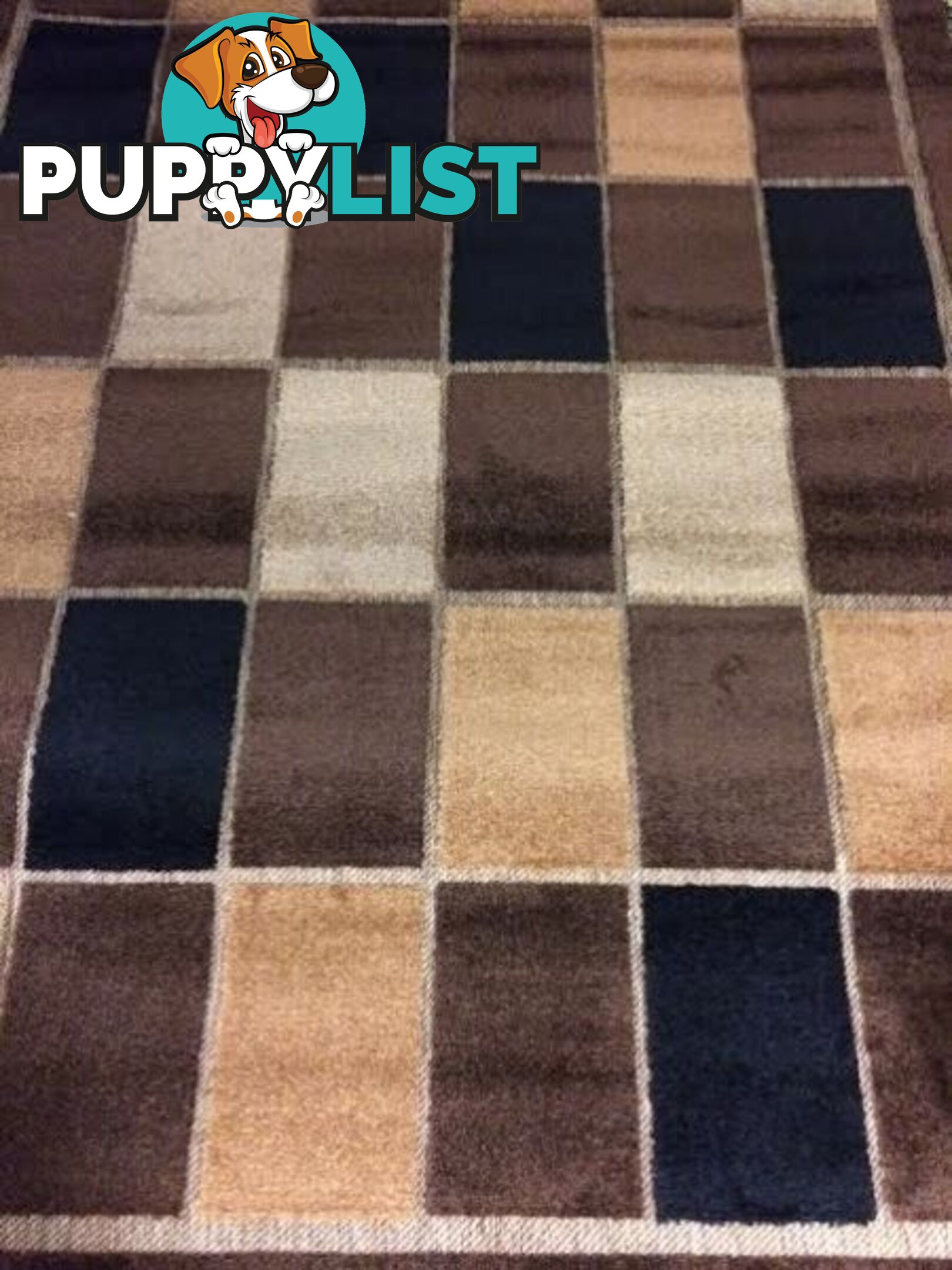 GORGEOUS RUGS FOR A BARGAIN PRICE BRAND NEW ON SALE FEW LEFT