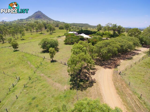 196 Eder Brothers Road MOUNT WALKER QLD 4340