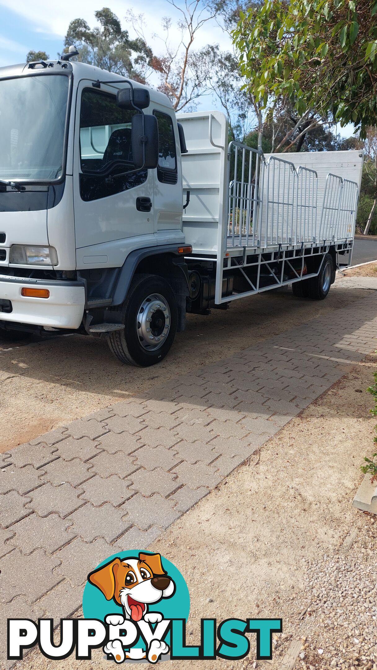 2004 Isuzu FTR Tail Lift Truck