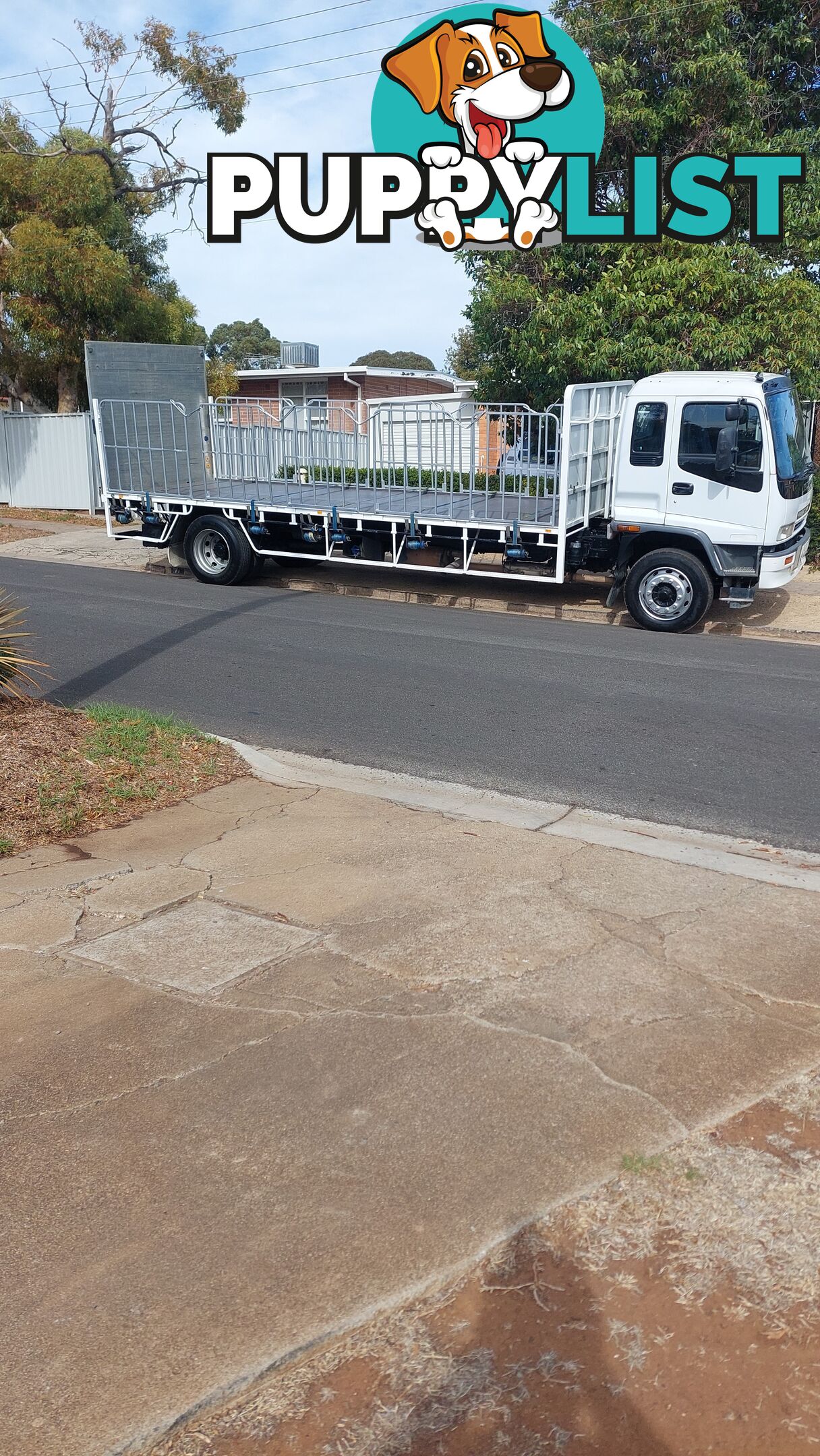2004 Isuzu FTR Tail Lift Truck