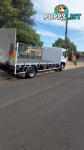 2004 Isuzu FTR Tail Lift Truck