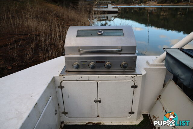 TB Dayboat on Lake Eildon