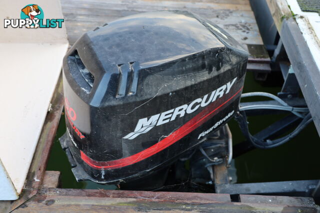 TB Dayboat on Lake Eildon