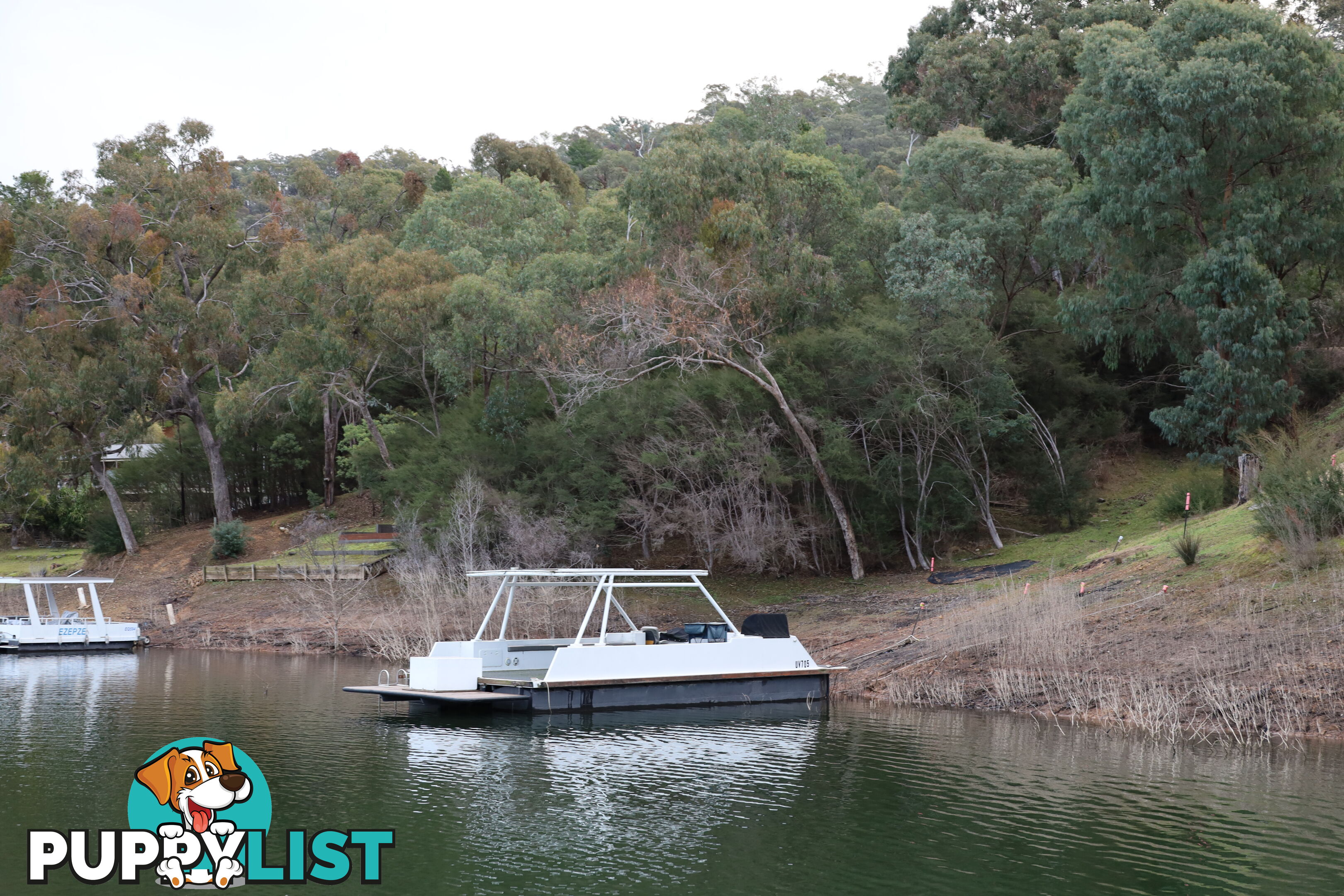 TB Dayboat on Lake Eildon