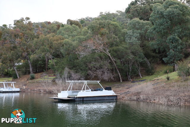 TB Dayboat on Lake Eildon