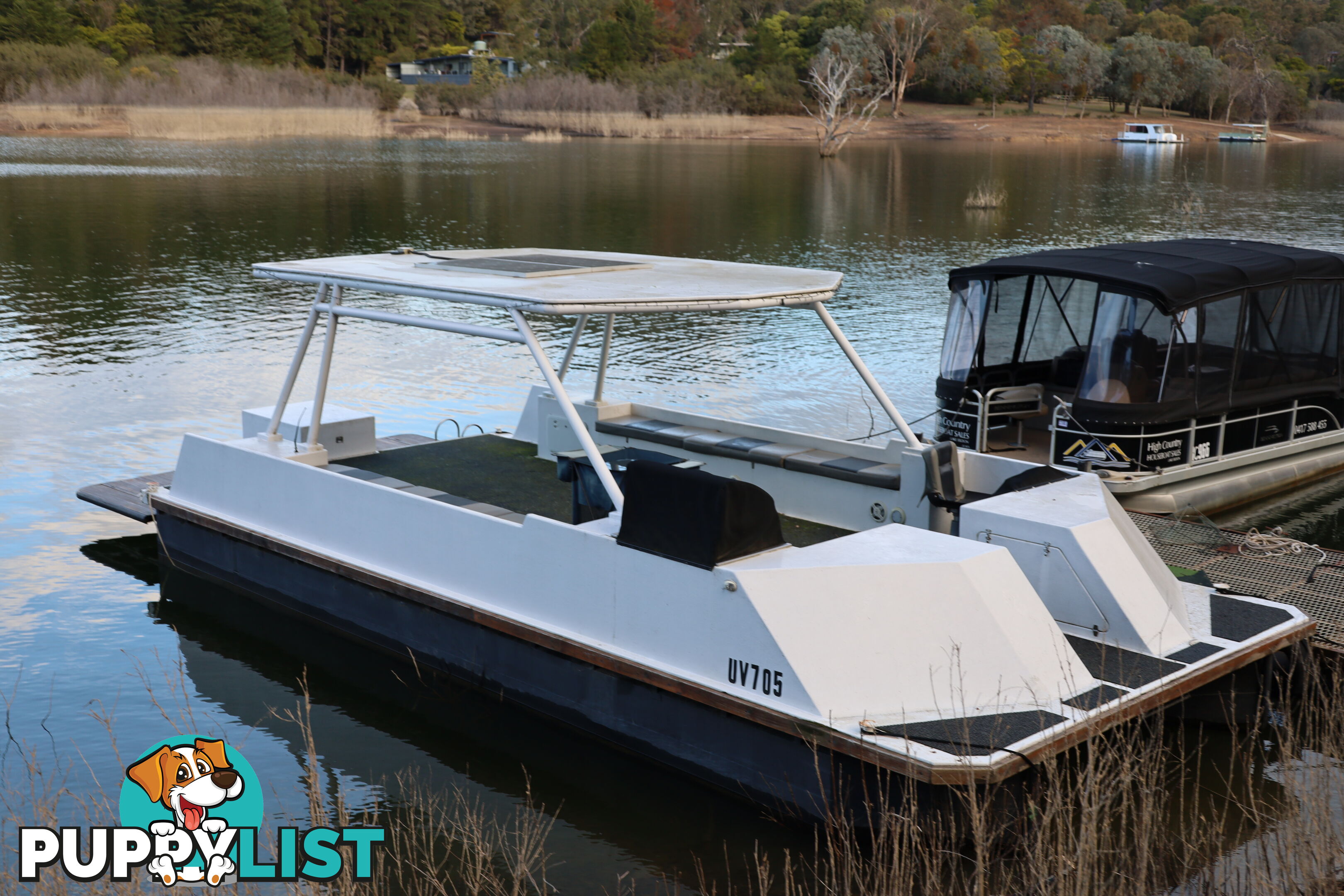 TB Dayboat on Lake Eildon