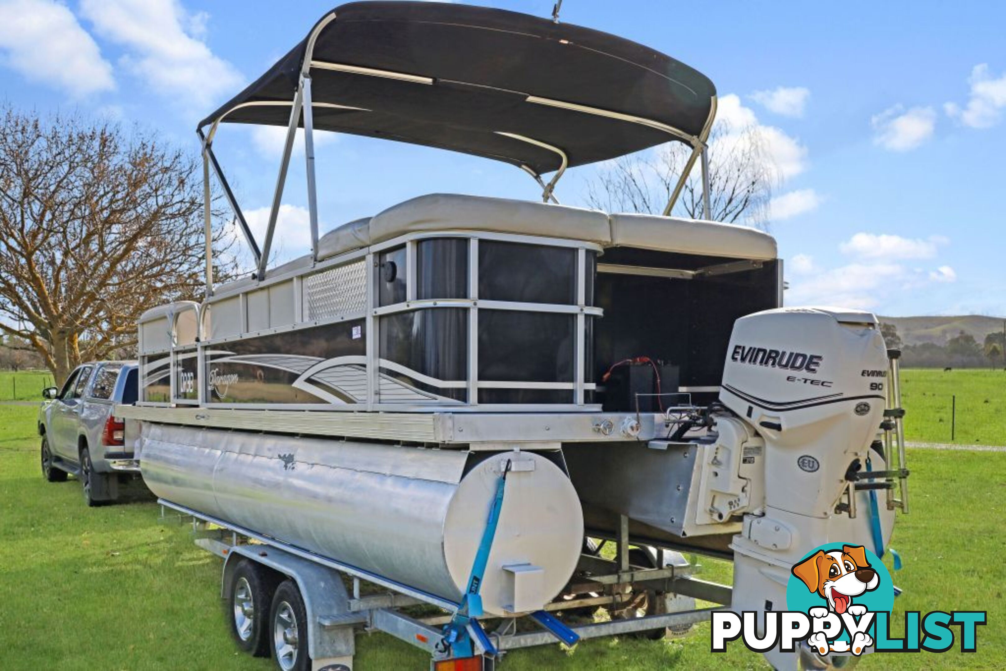 Pontoon BOAT: Sunsetter Paragon 
