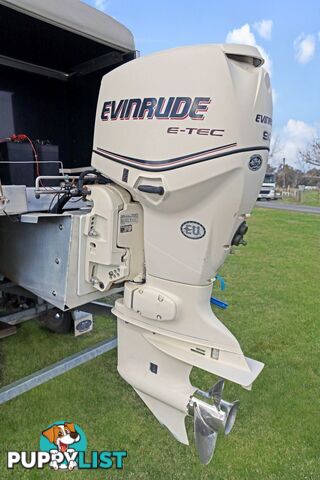Pontoon BOAT: Sunsetter Paragon 