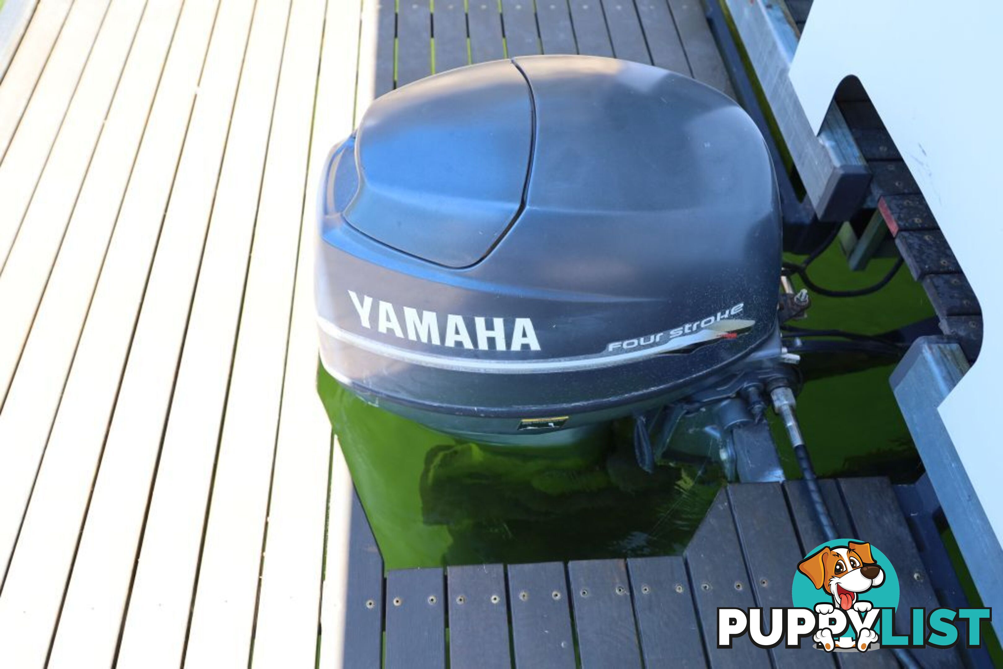 Dayboat Prestige @ Lake Eildon