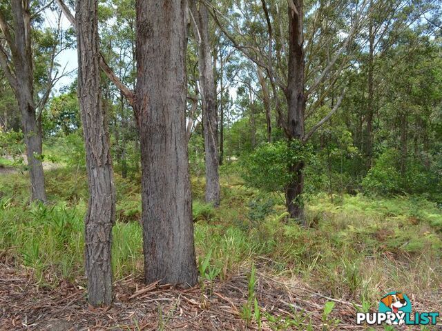 LOT 162 Old Pacific Highway RALEIGH NSW 2454