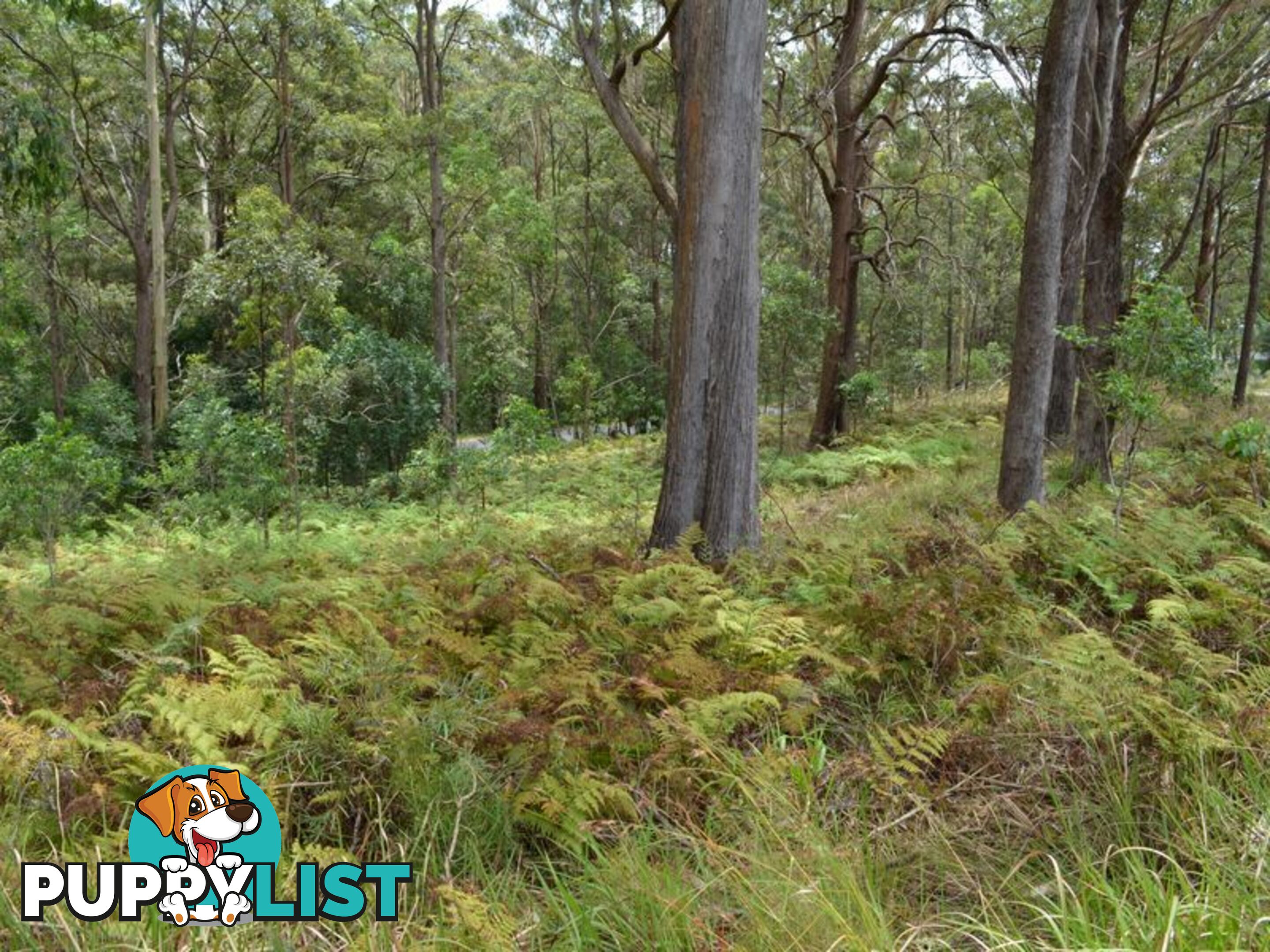 LOT 162 Old Pacific Highway RALEIGH NSW 2454