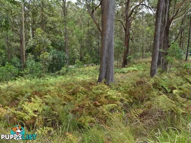 LOT 162 Old Pacific Highway RALEIGH NSW 2454