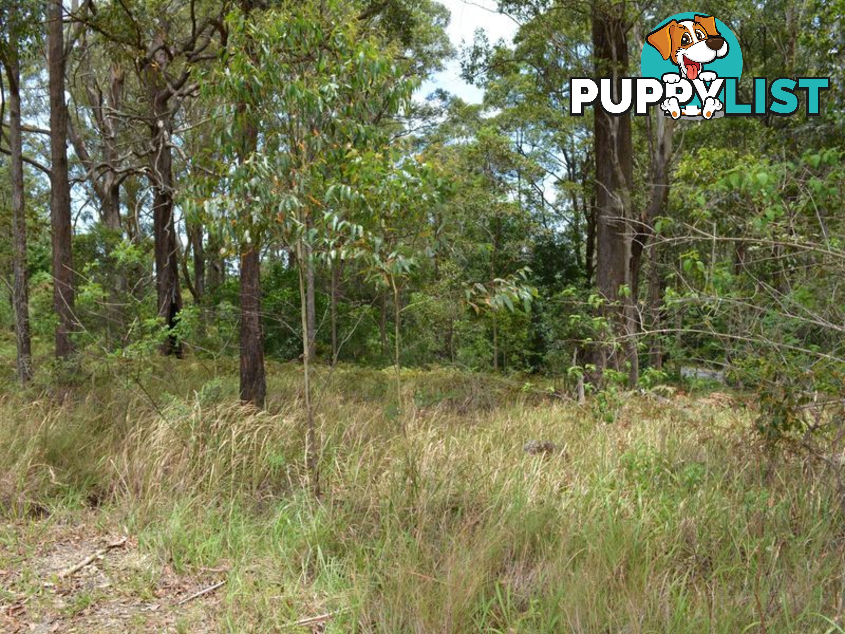 LOT 162 Old Pacific Highway RALEIGH NSW 2454