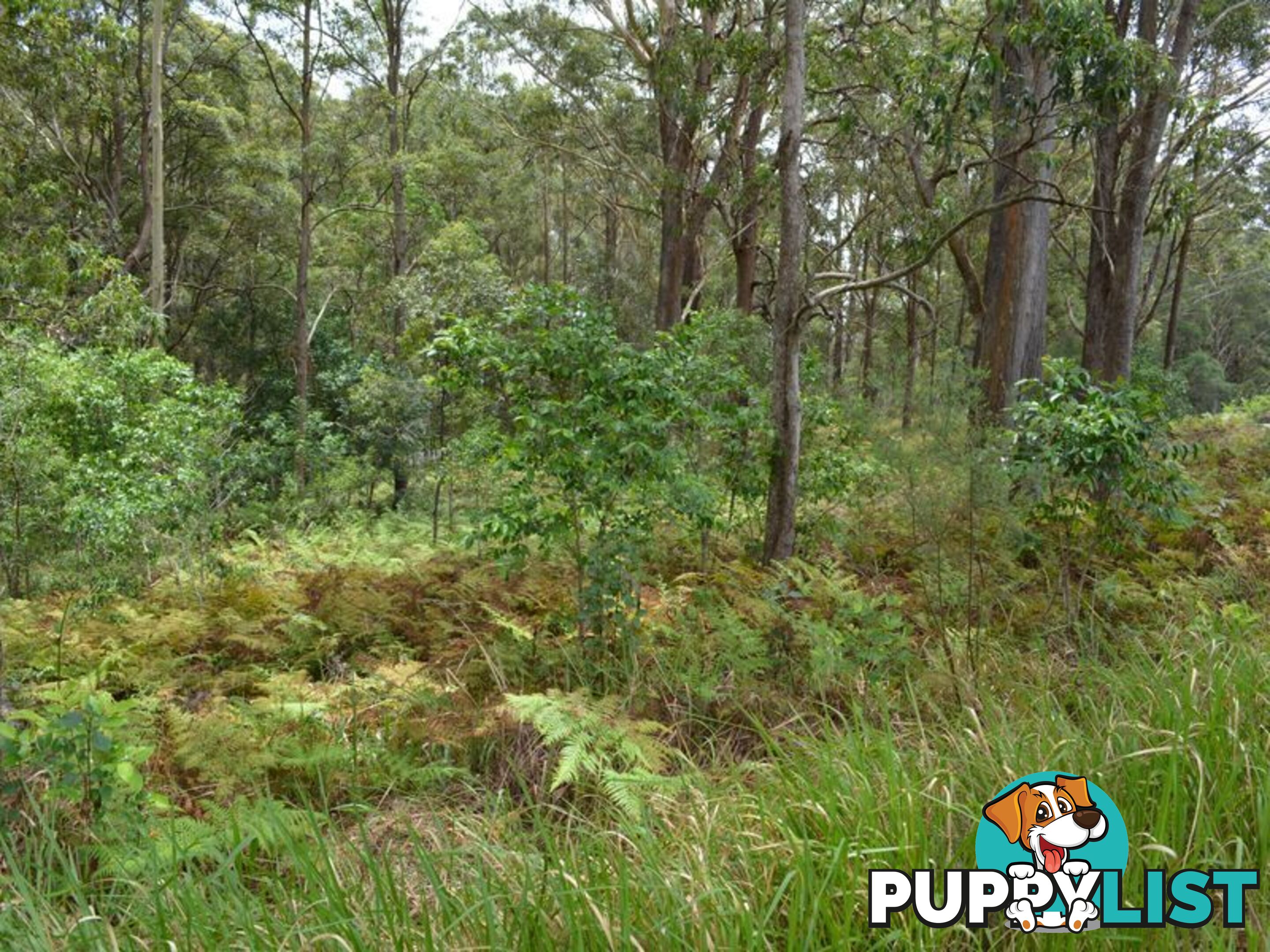 LOT 162 Old Pacific Highway RALEIGH NSW 2454