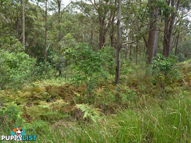 LOT 162 Old Pacific Highway RALEIGH NSW 2454