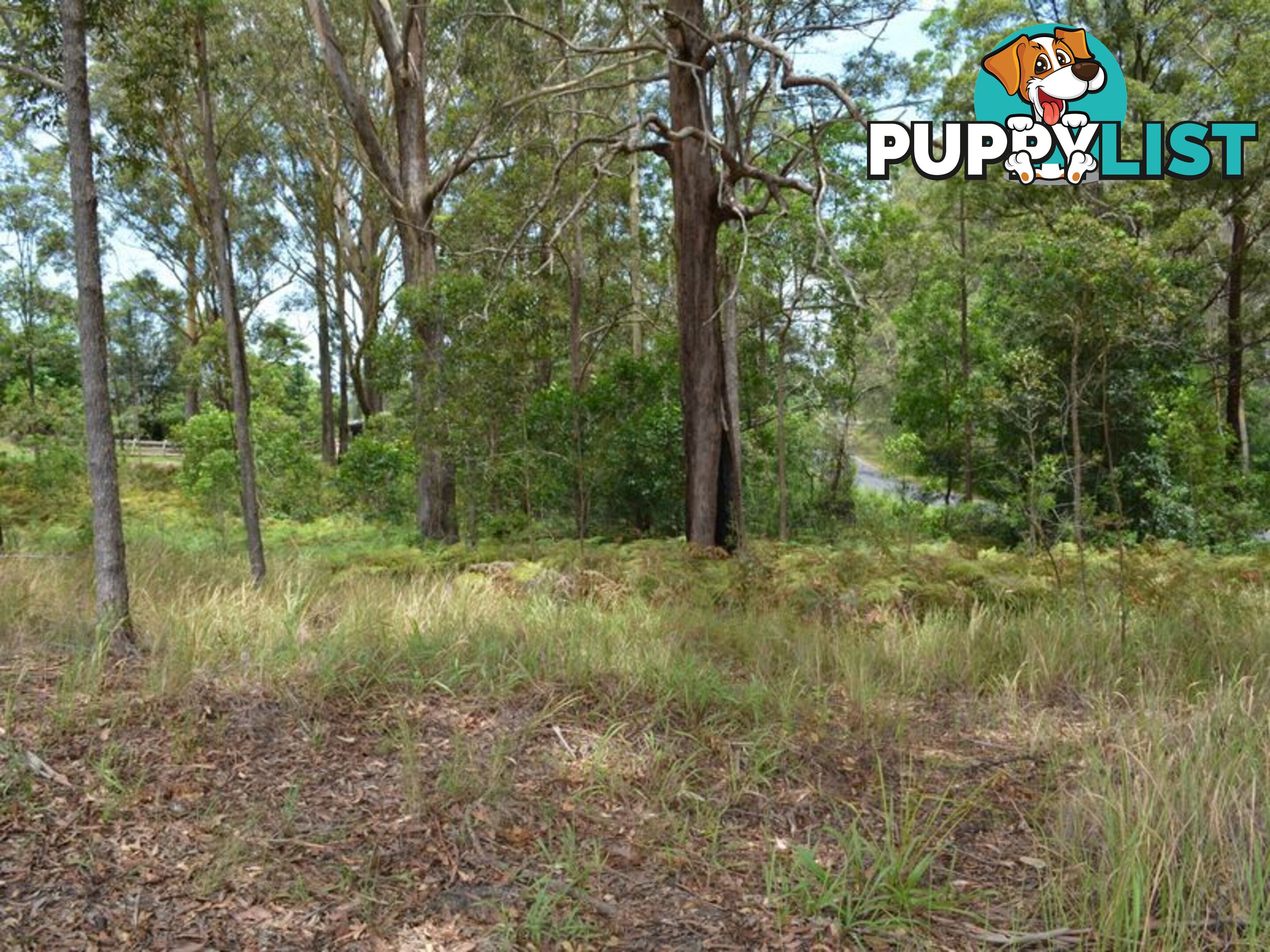 LOT 162 Old Pacific Highway RALEIGH NSW 2454