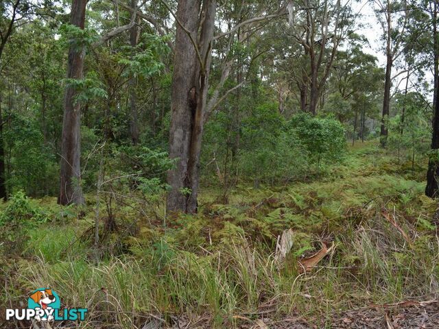 LOT 162 Old Pacific Highway RALEIGH NSW 2454