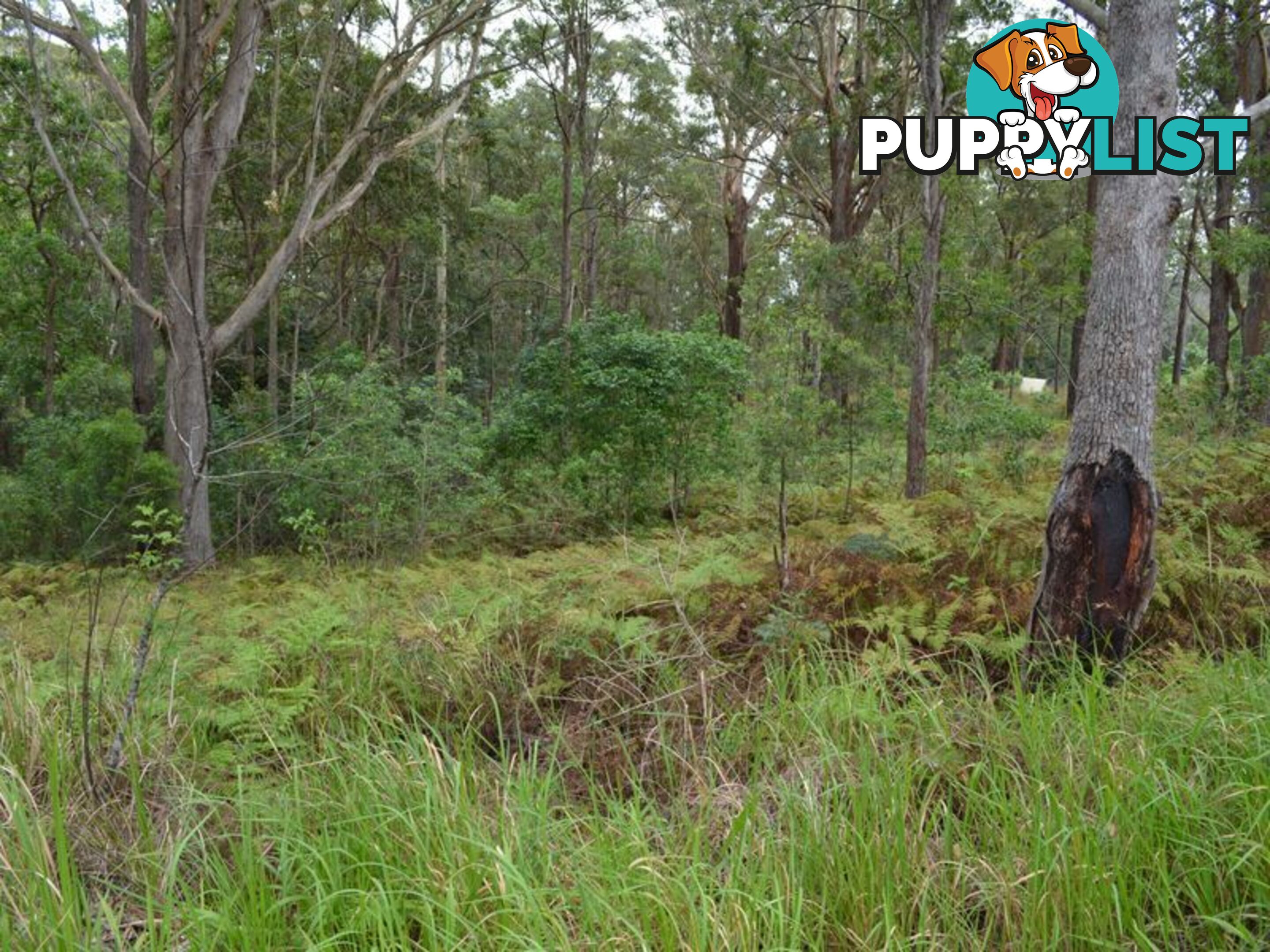 LOT 162 Old Pacific Highway RALEIGH NSW 2454