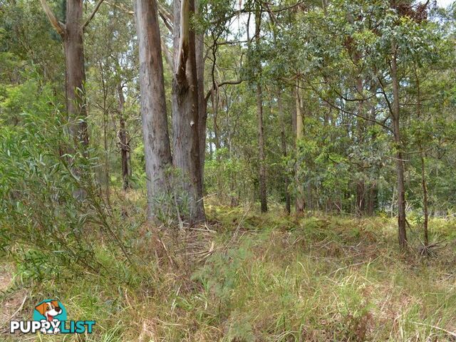 LOT 162 Old Pacific Highway RALEIGH NSW 2454