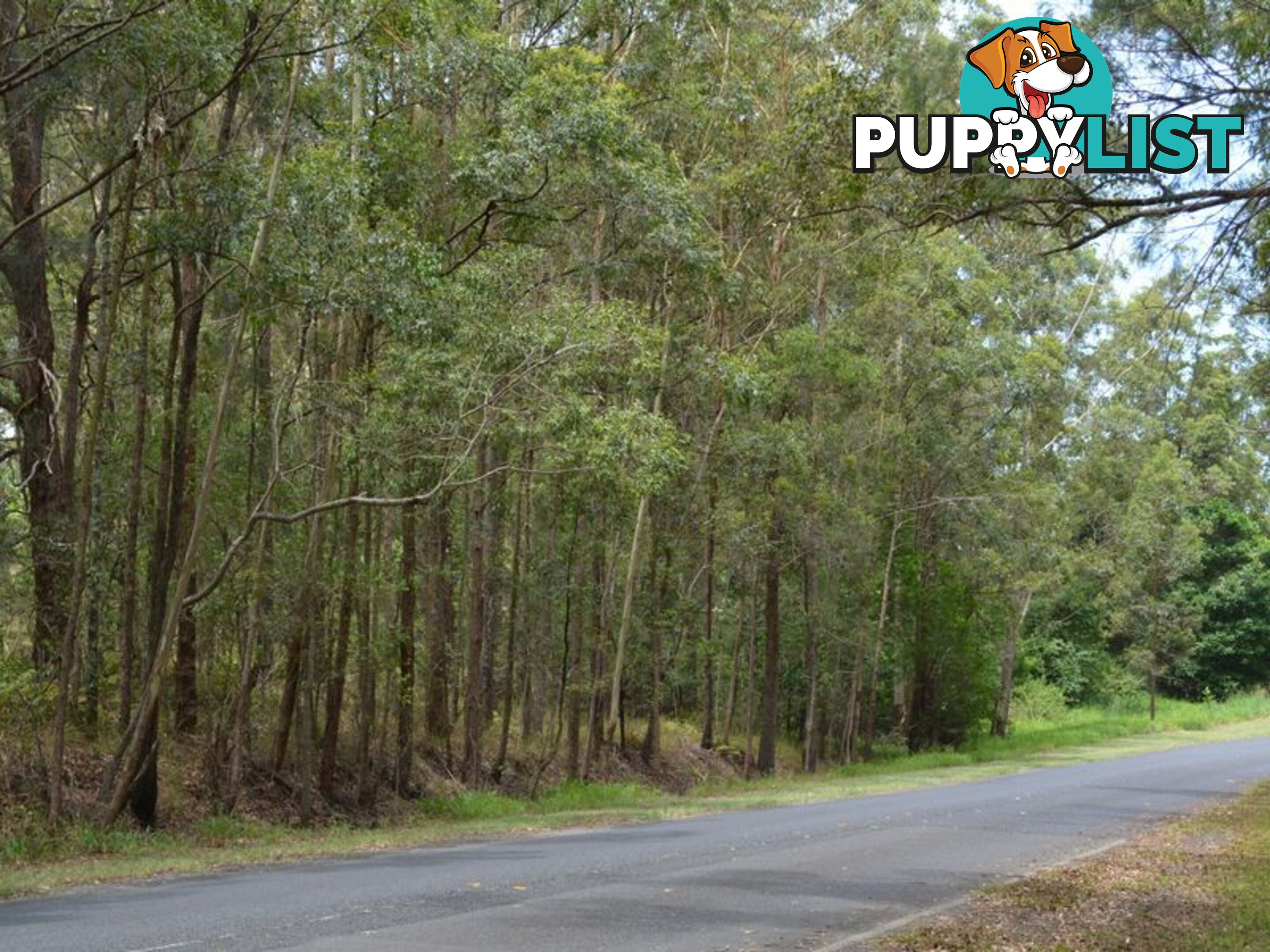 LOT 162 Old Pacific Highway RALEIGH NSW 2454