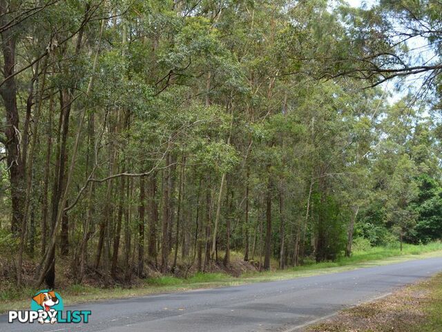 LOT 162 Old Pacific Highway RALEIGH NSW 2454