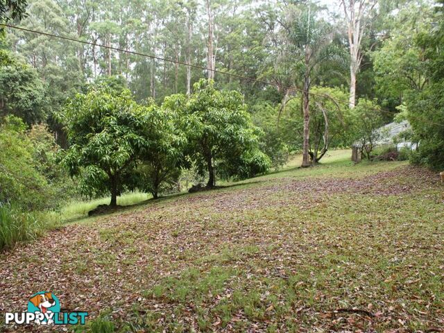 150 Martells Road BELLINGEN NSW 2454