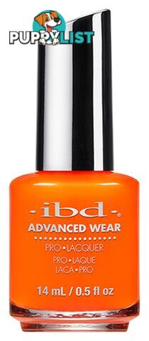 Advanced Wear - Infinitely Curious 65334 - IBD65334