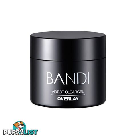 Bandi Artist Cleargel Overlay - BAACO30