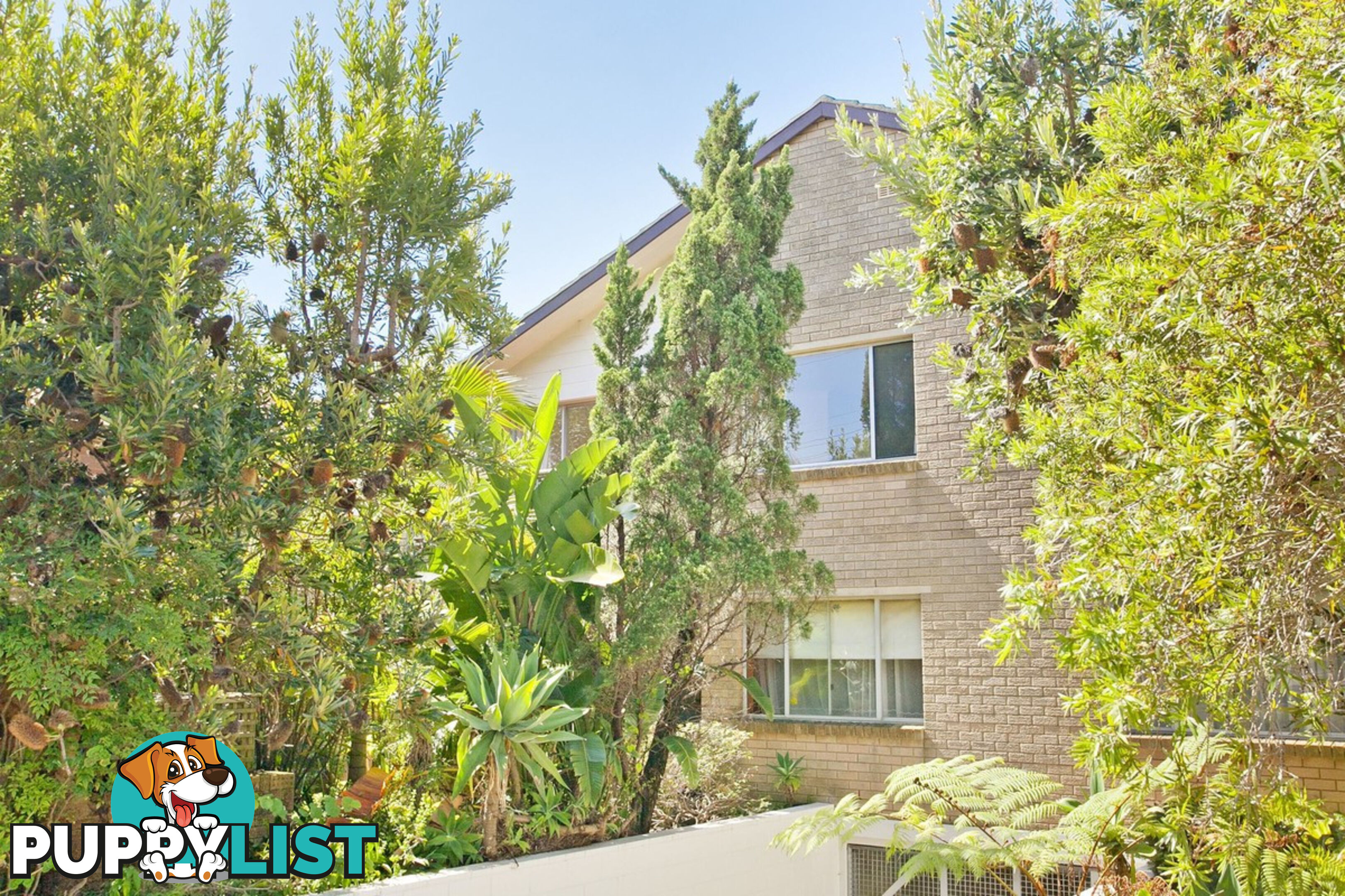 4/54A Hilltop Crescent FAIRLIGHT NSW 2094